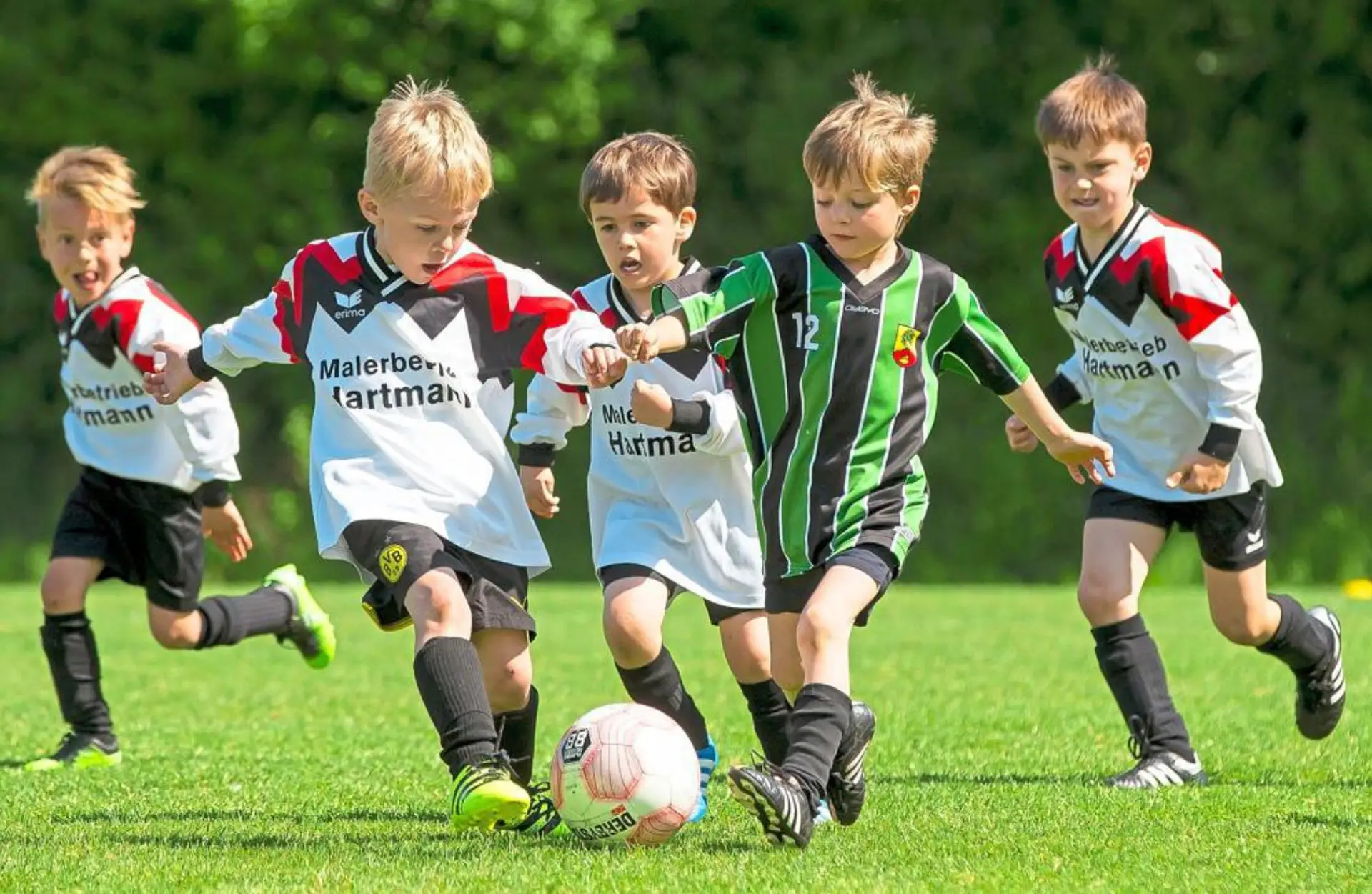 TSVBardowick Fussball Kindergarten